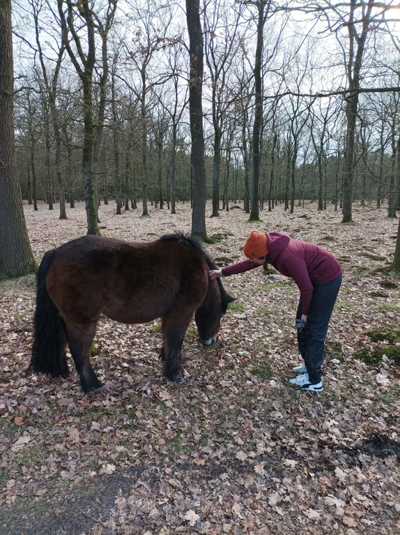 Miriam streichelt ein Pferd in einem Wald